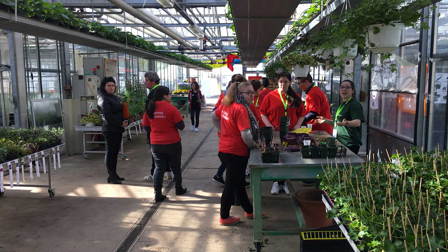 FondFormation SerreVente-1